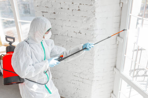 Best Commercial Mold Inspection  in Cudahy, CA