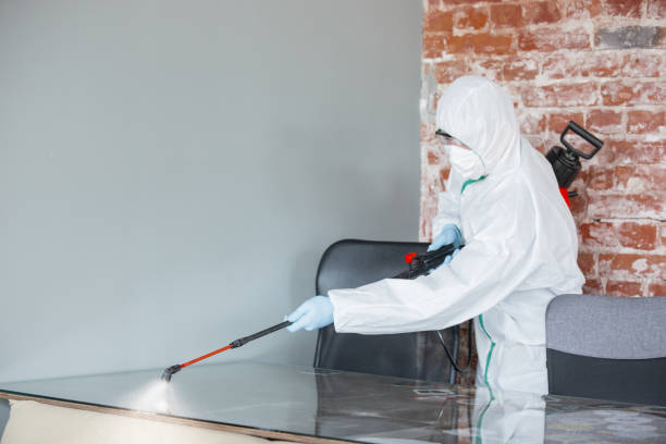 Best Industrial Mold Remediation  in Cudahy, CA