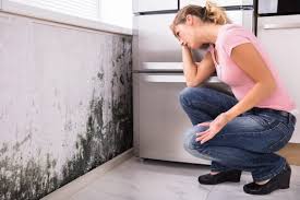 Best Real Estate Mold Inspection  in Cudahy, CA